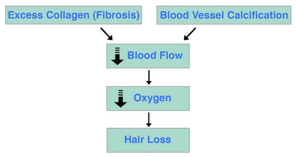 Fibrosis Calcification Hair Loss