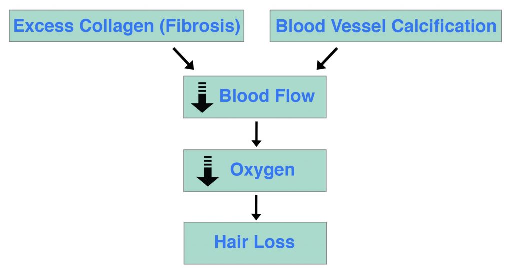 Calcification Fibrosis Hair Loss