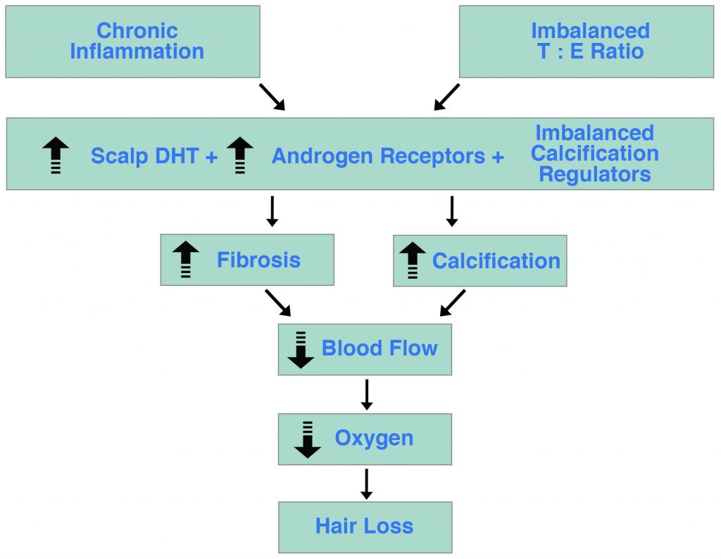 What are some causes of chronic inflammation?