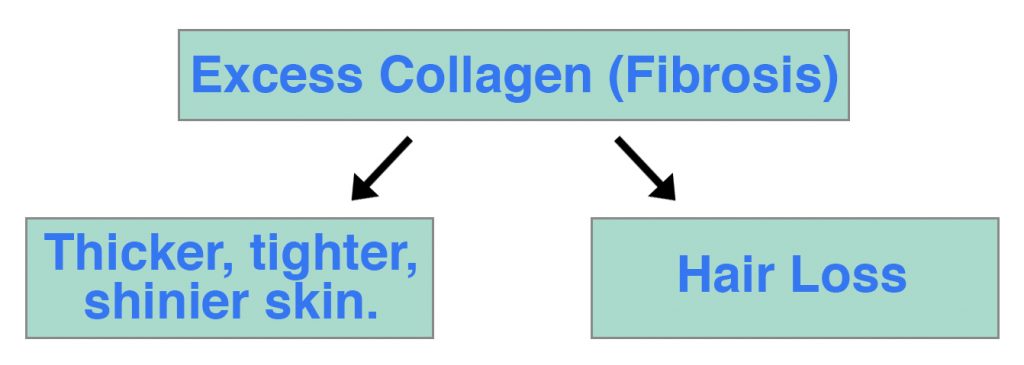 Fibrosis Hair Loss