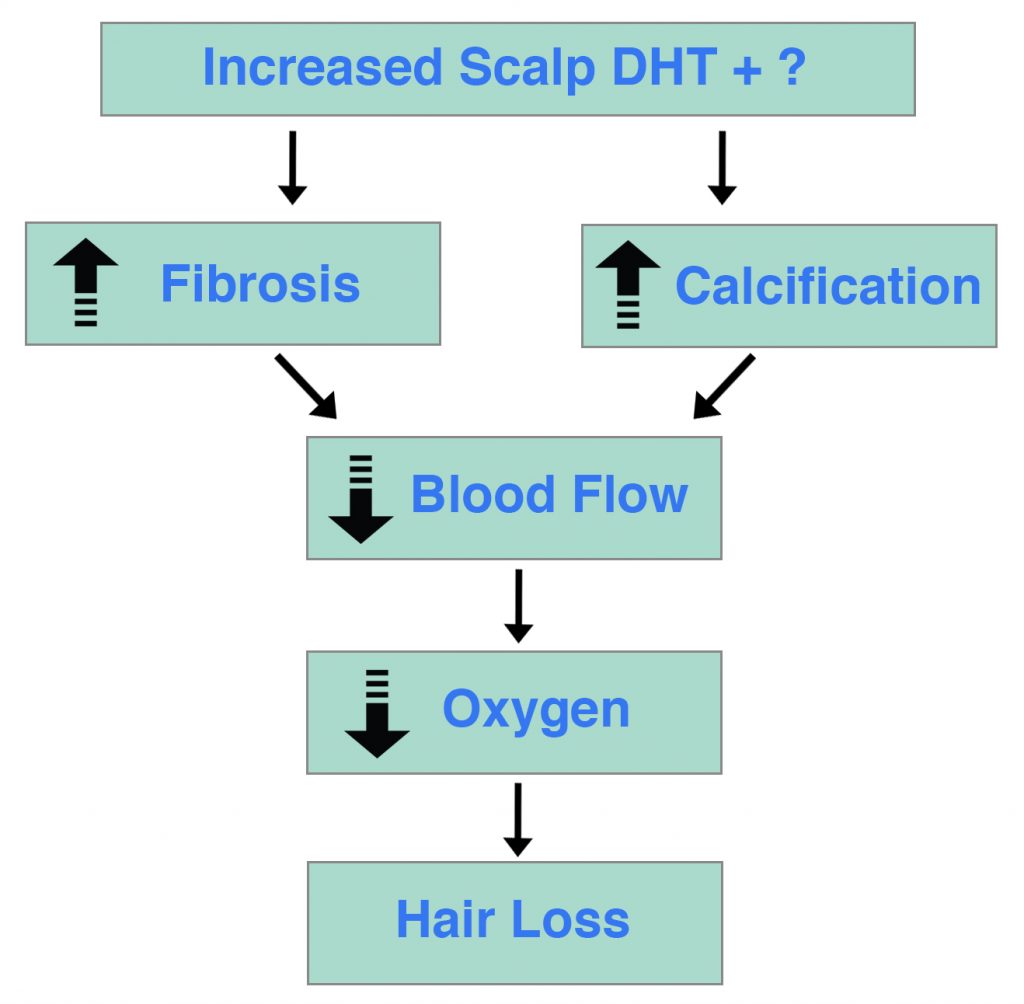 The differences in DHT mean serum in patients with androgenetic   Download Scientific Diagram