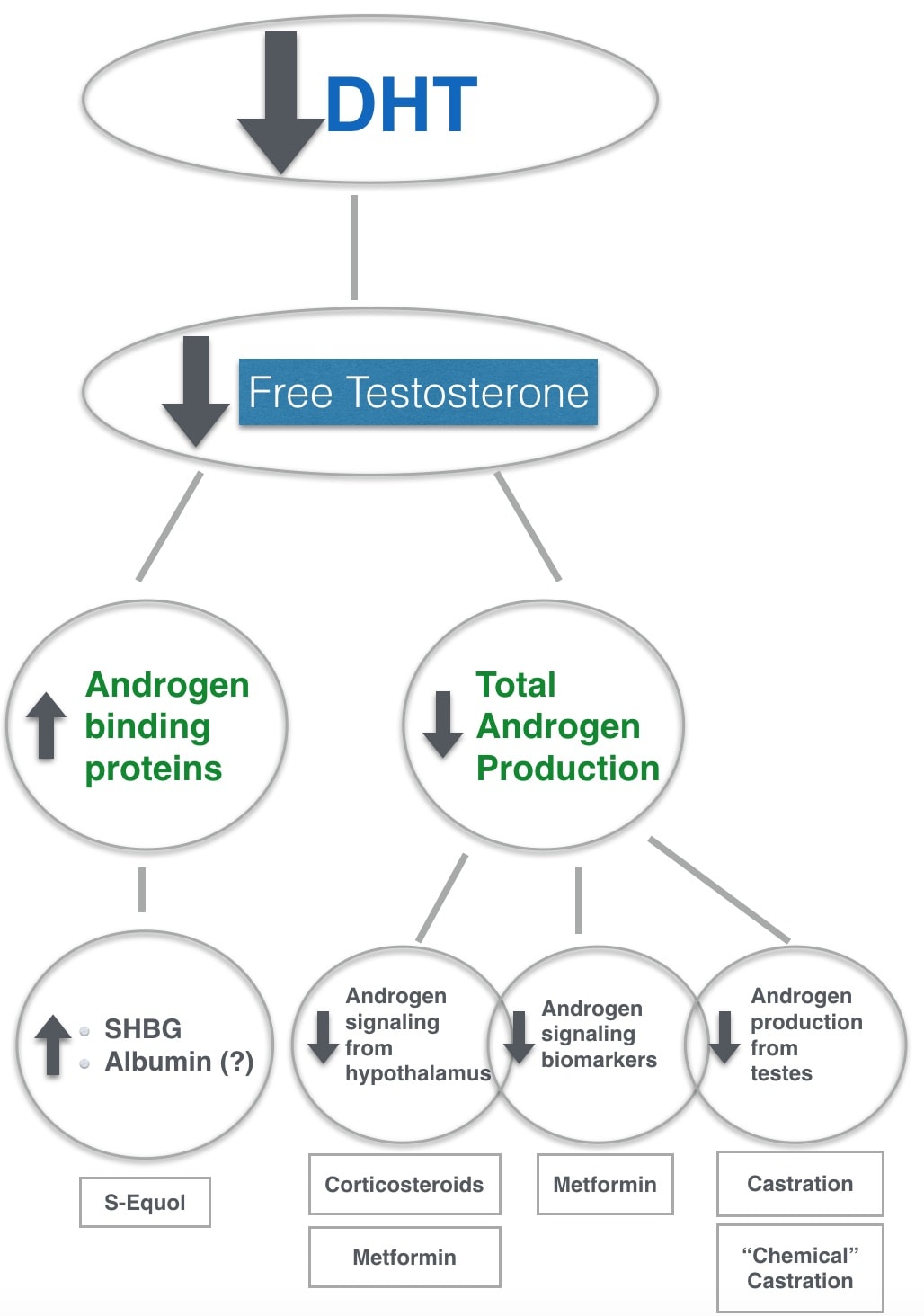 To hair loss dht testosterone Taking testosterone