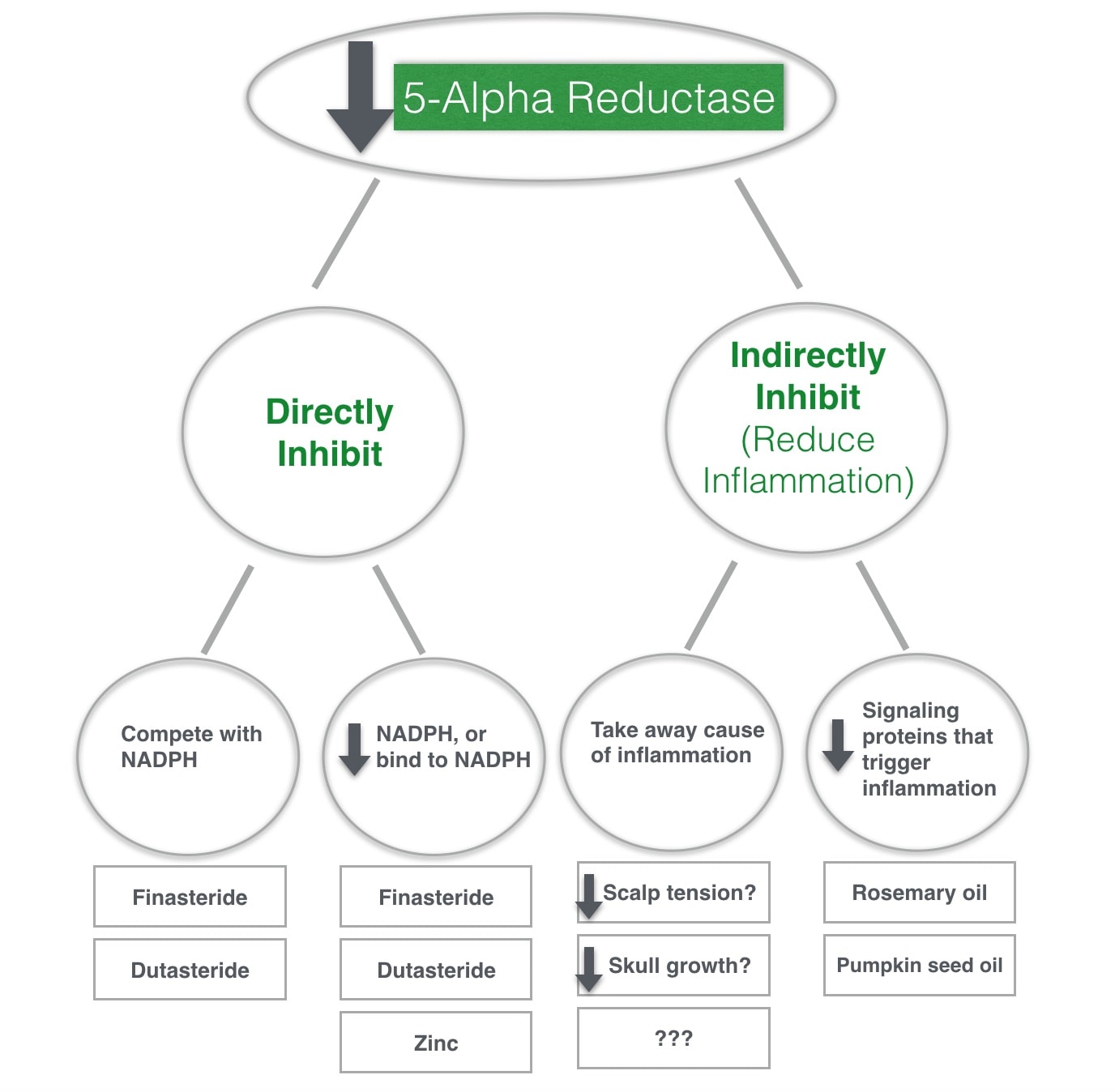 Attacking Dht A Guide To Inhibiting 5 Alpha Reductase For Hair Loss