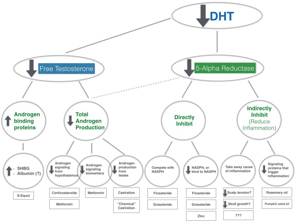 Attacking DHT A Guide To Inhibiting 5 Alpha Reductase For Hair Loss Lower DHT By Decreasing Free Or Inhibiting 5 Alpha Reductase Hair Thinning Summary 1024x774