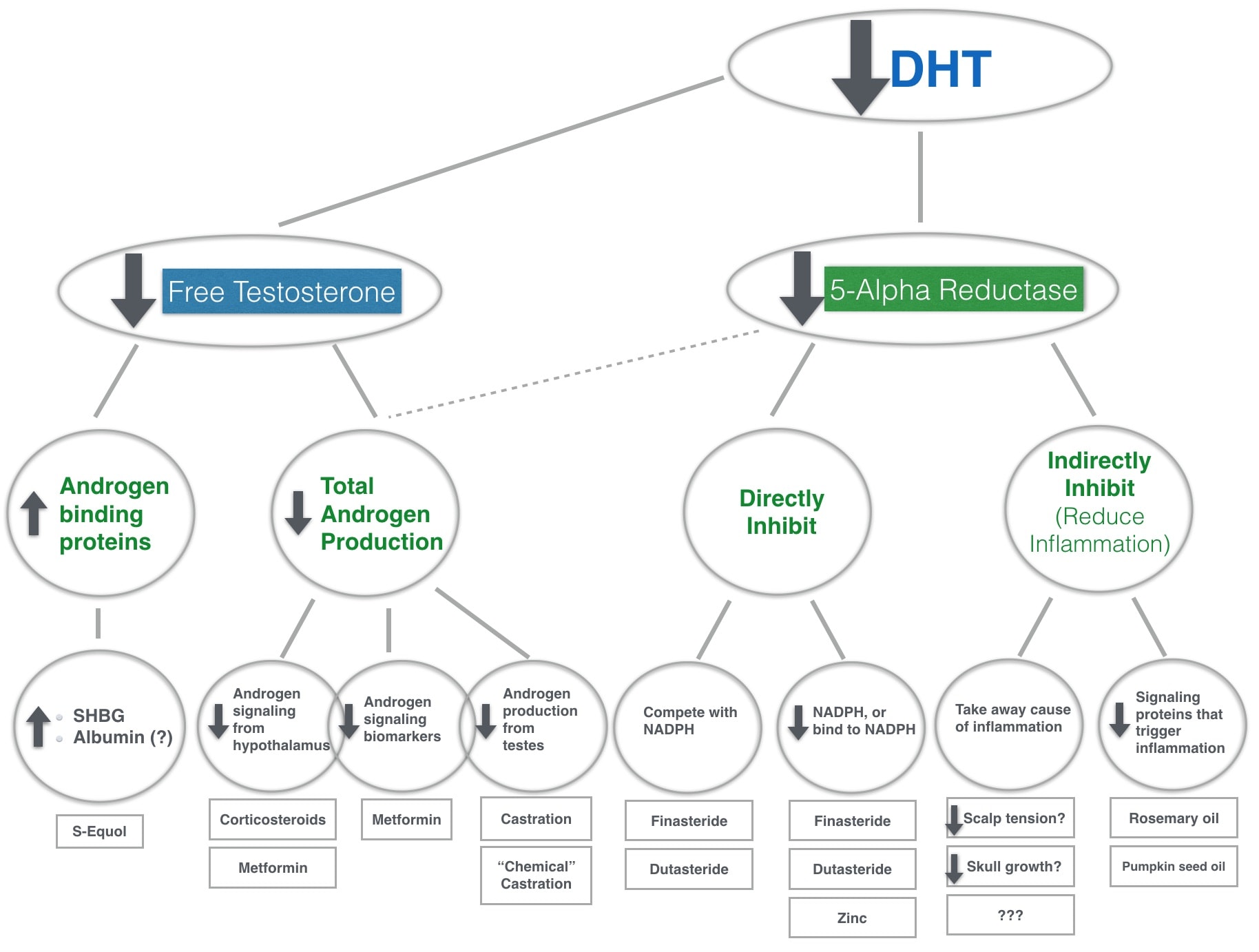 Attack DHT: A Master Guide To Blocking Androgen Receptors (Hair Loss)