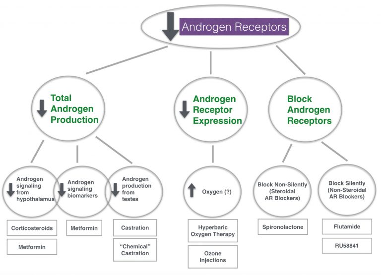 Attack DHT: A Master Guide To Blocking Androgen Receptors (Hair Loss)
