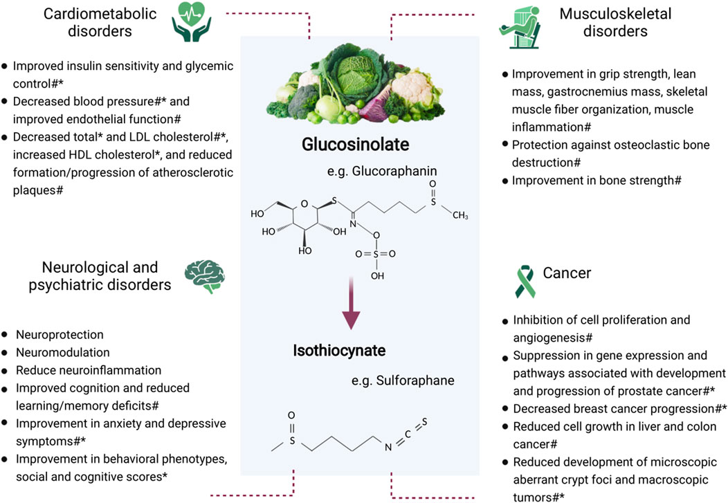 Graphic of glucosinolate