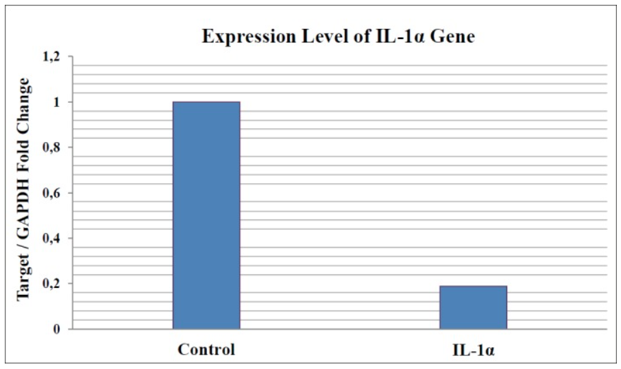 Herbal extract graphic