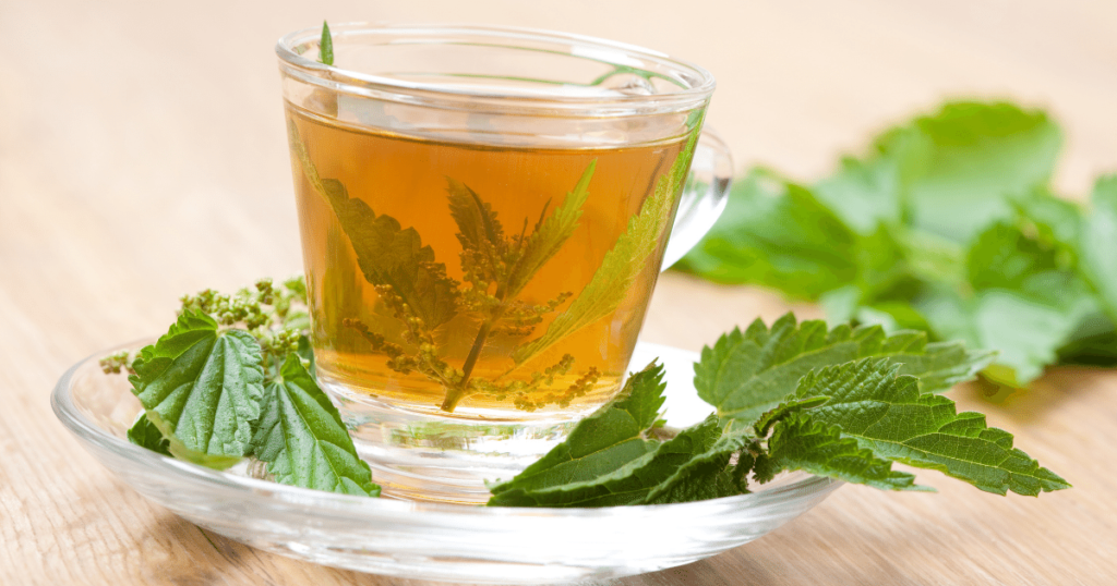Stinging Nettle For Hair Loss Real Vs Perceived Benefits Perfect Stinging Nettle For Hair Loss Real Vs Perceived Benefits Perfect