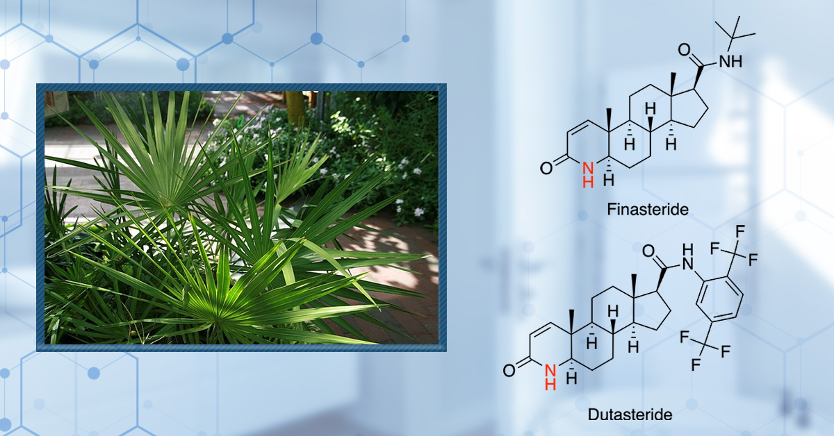 Natural vs. Pharmaceutical DHT Blockers: Ranked