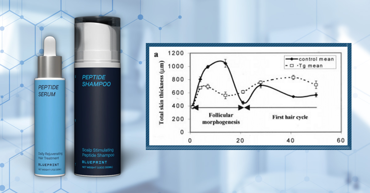 Blueprint Haircare Stack: Product Review