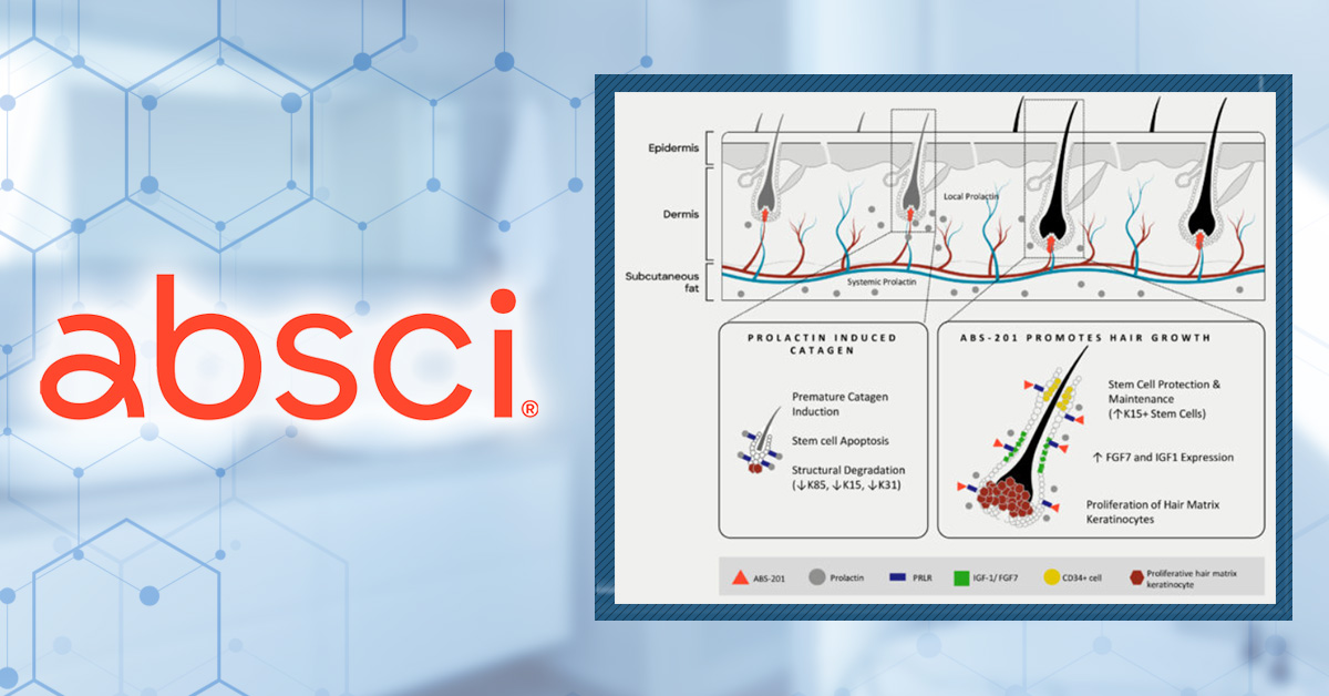 ABS-201: Can Blocking the Prolactin Receptor Regrow Hair?
